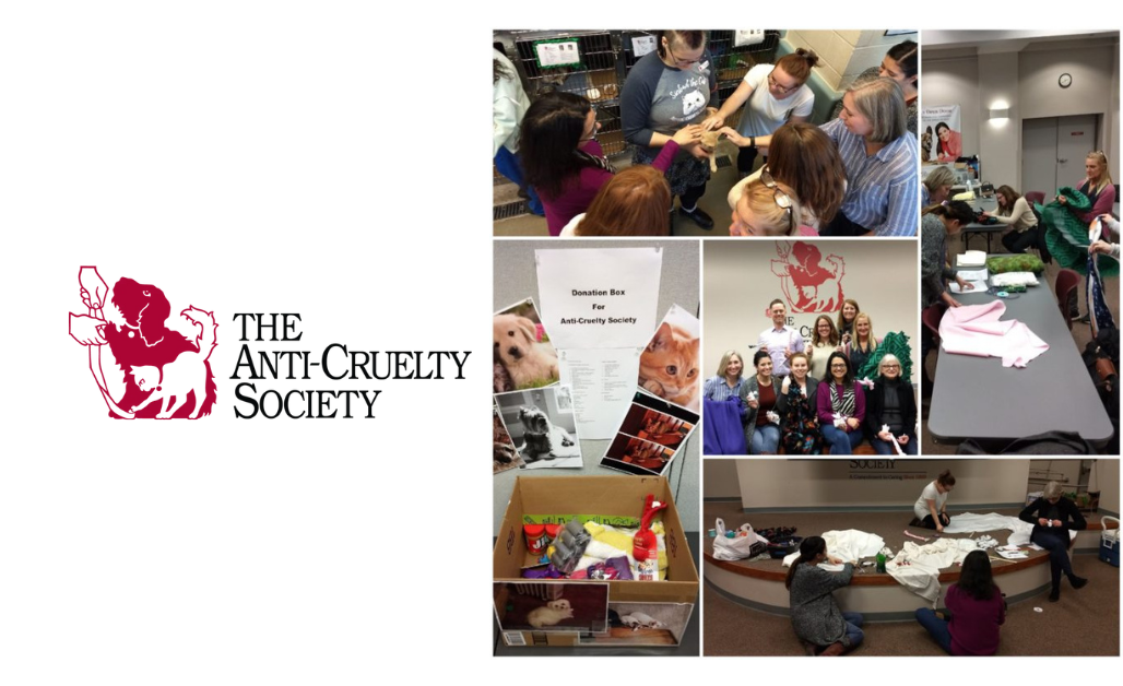 Perspectives Team Volunteers at The Chicago Anti-Cruelty Society